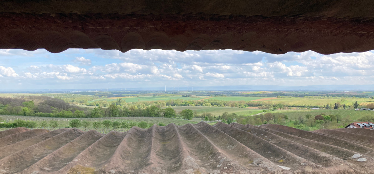 Unconscious Bias Unbewusste Vorurteile Blick durch einen Stein im Weinberg