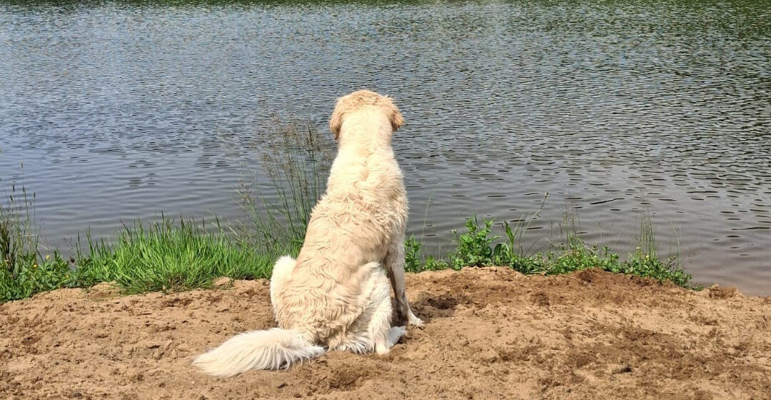 Coaching im Sommer