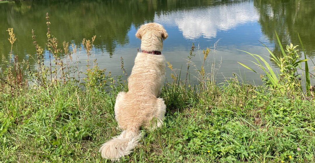 Coaching im Sommer