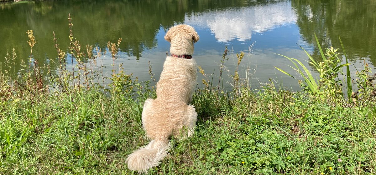 Coaching im Sommer